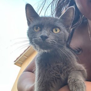 Meet your Posher, Alissa